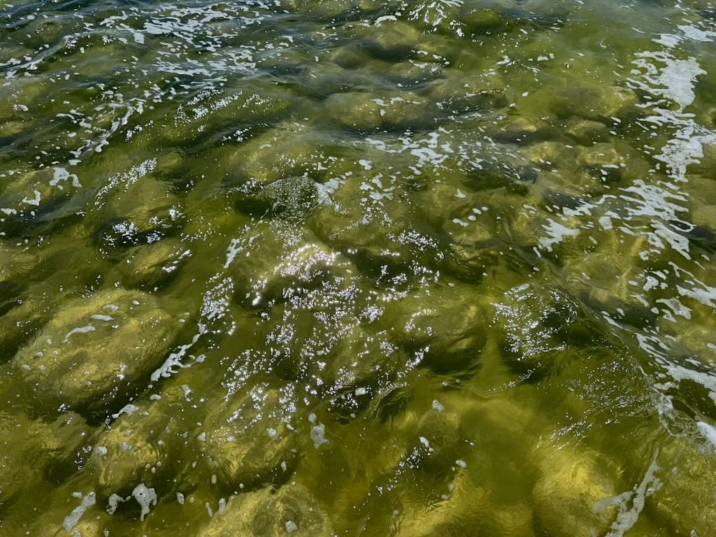 Bubbles | On Unpredictability and the Work of being Human | Something Entertaining