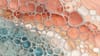 An abstract image of intricate biological textures
