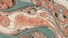 An abstract image of intricate biological textures