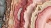 An abstract image of intricate biological textures
