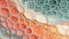 An abstract image of intricate biological textures