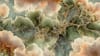 An abstract image of intricate biological textures
