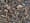 A photo of a pile of tree bark